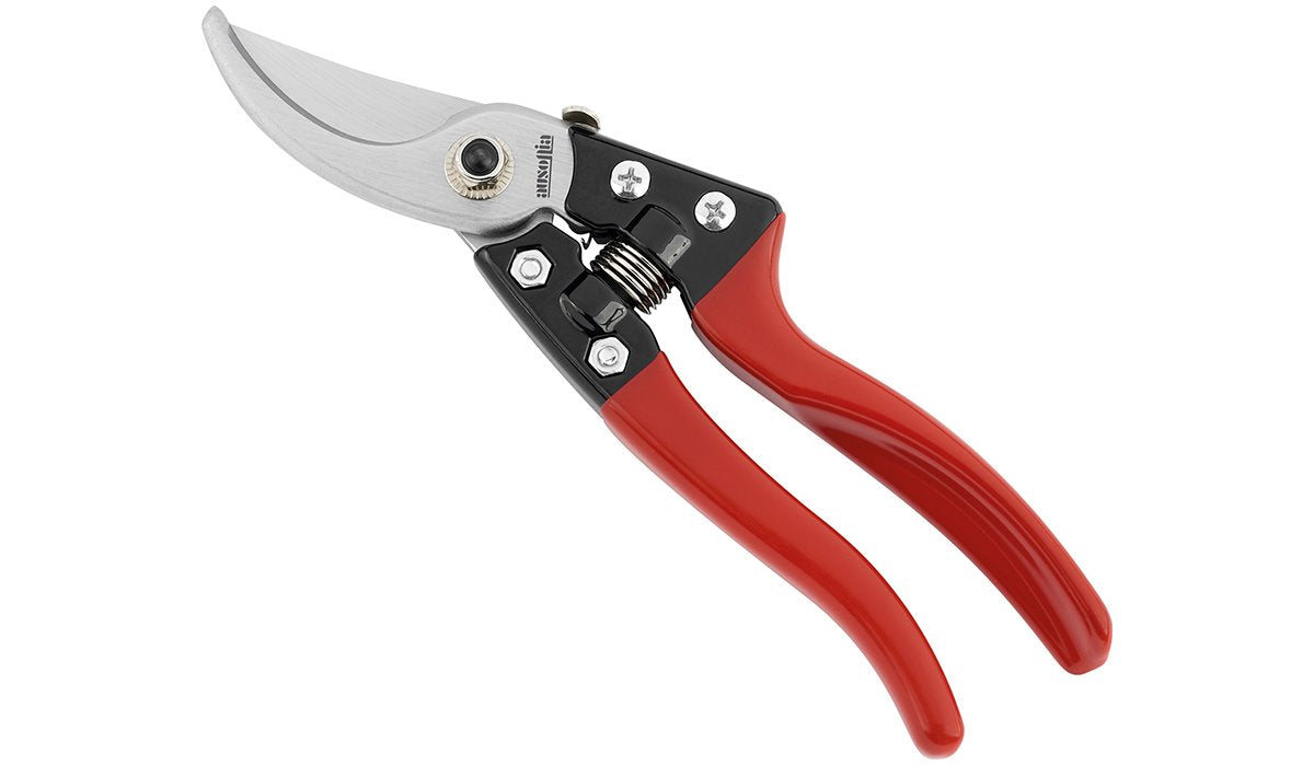 Forbice Da Vigna Professionale