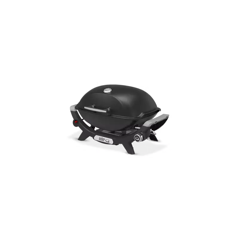 Weber Barbecue A Gas Q 2100n