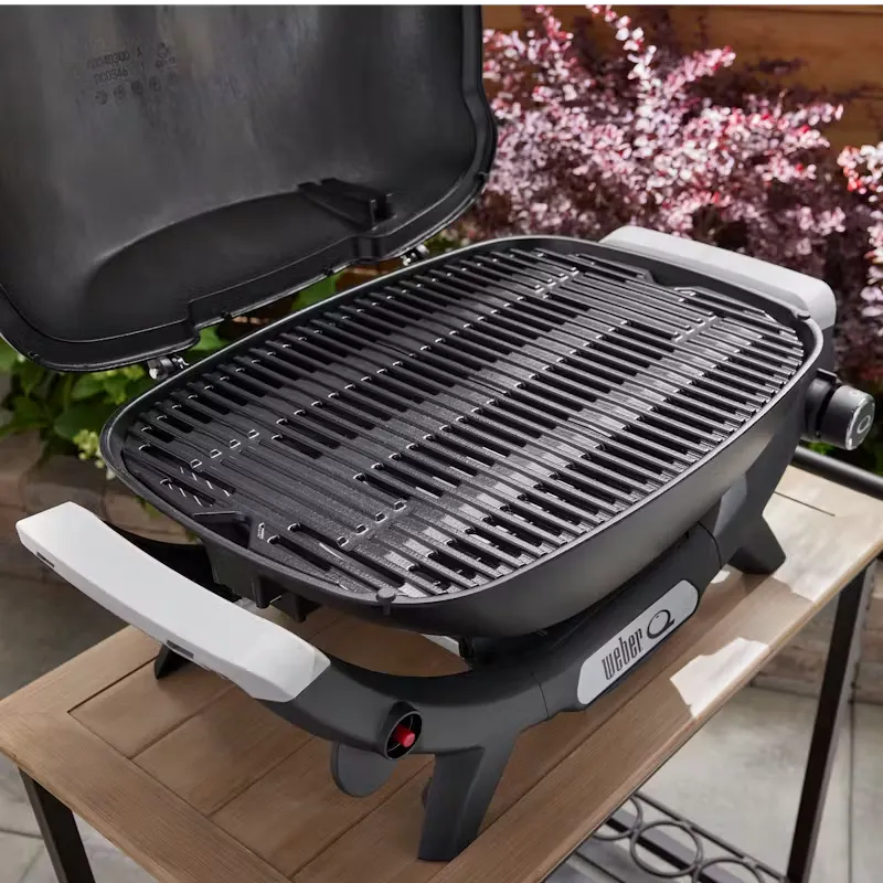 Weber Barbecue A Gas Q 2100n