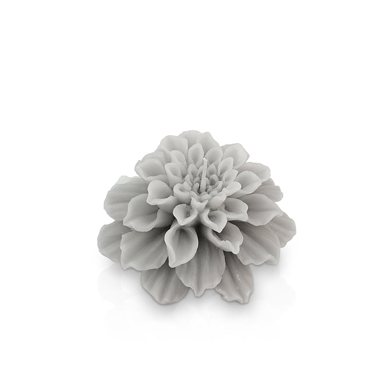 Candela Dalia Petali Grigia