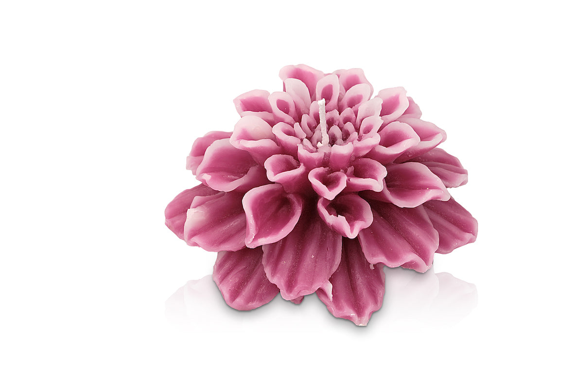 Candela Dalia Petali Lilla
