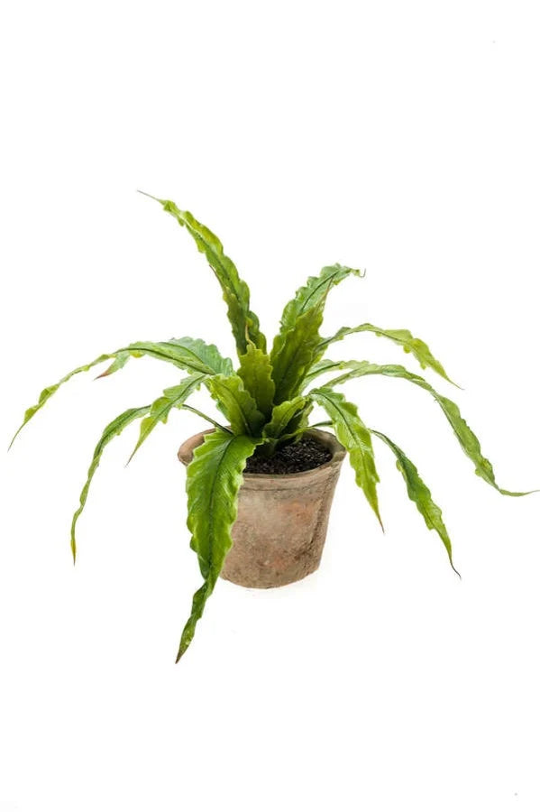 Pianta Finta Asplenium In Vaso 35 Cm Verde