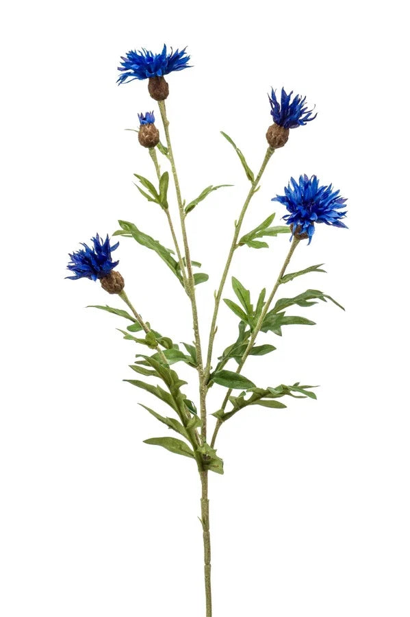 Fiordaliso Finto 60 Cm Blu