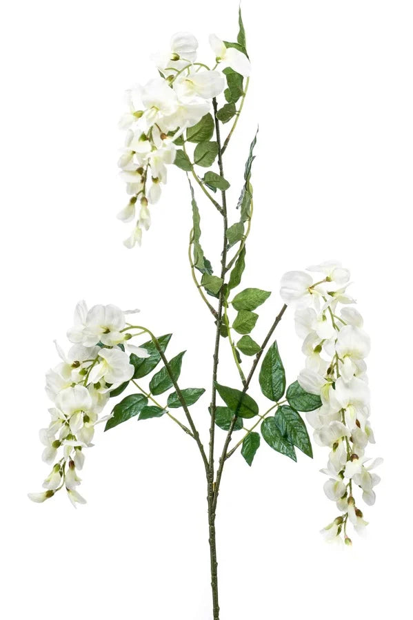 Glicine Finto 3 Steli 70 Cm Crema