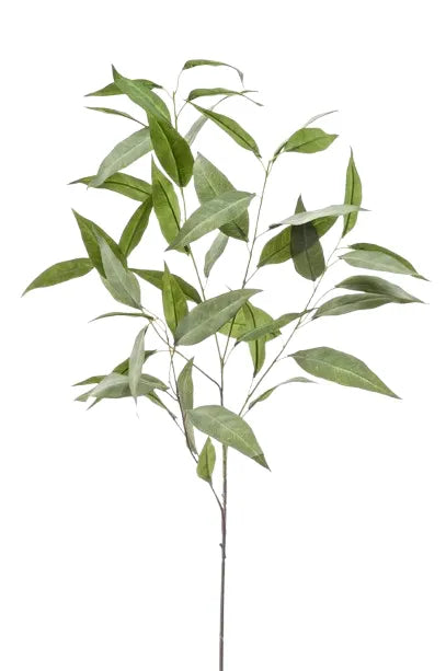 Ramo Eucalipto 5 Steli 93 Cm Verde