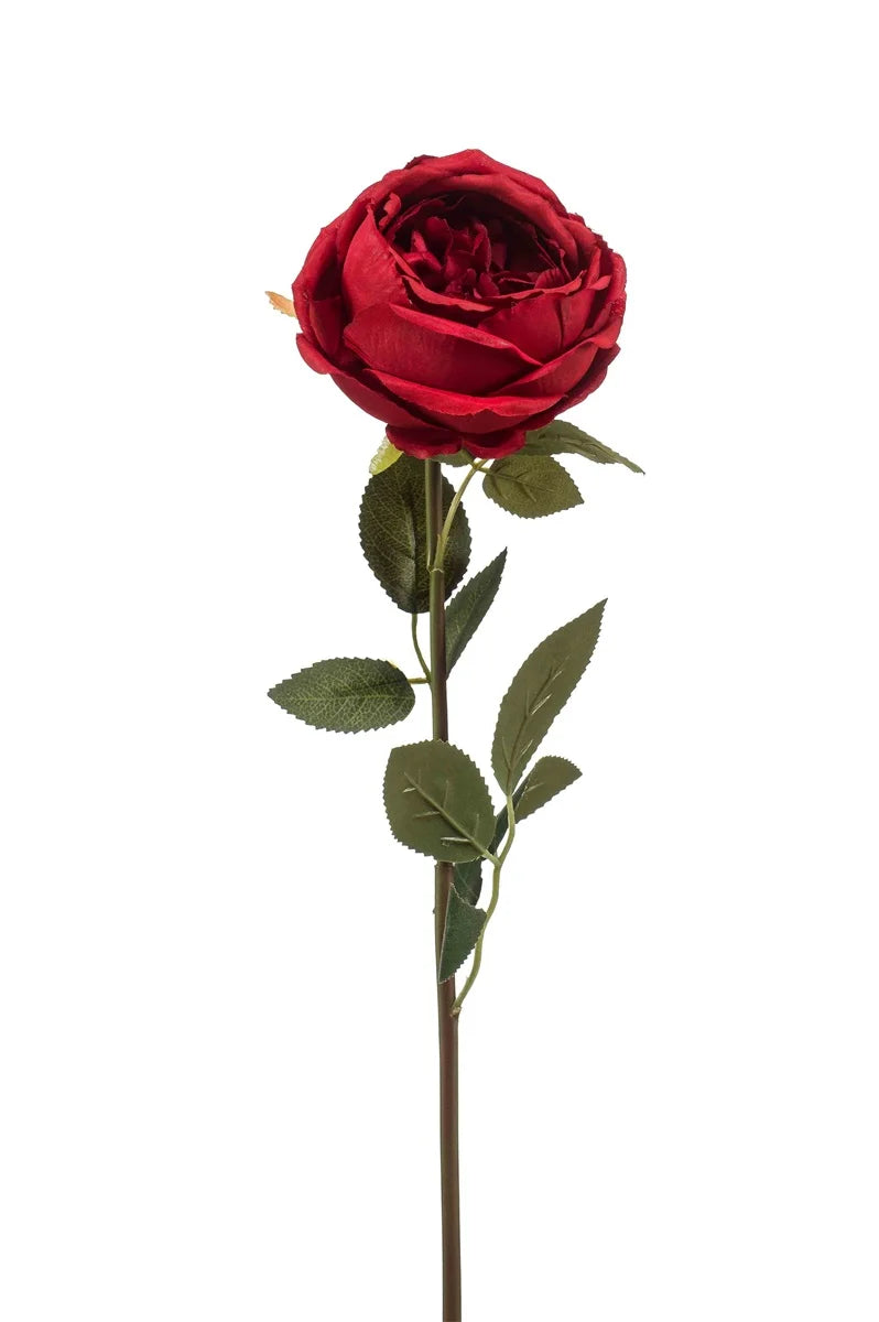 Rosa Joelle 65 Cm Rossa