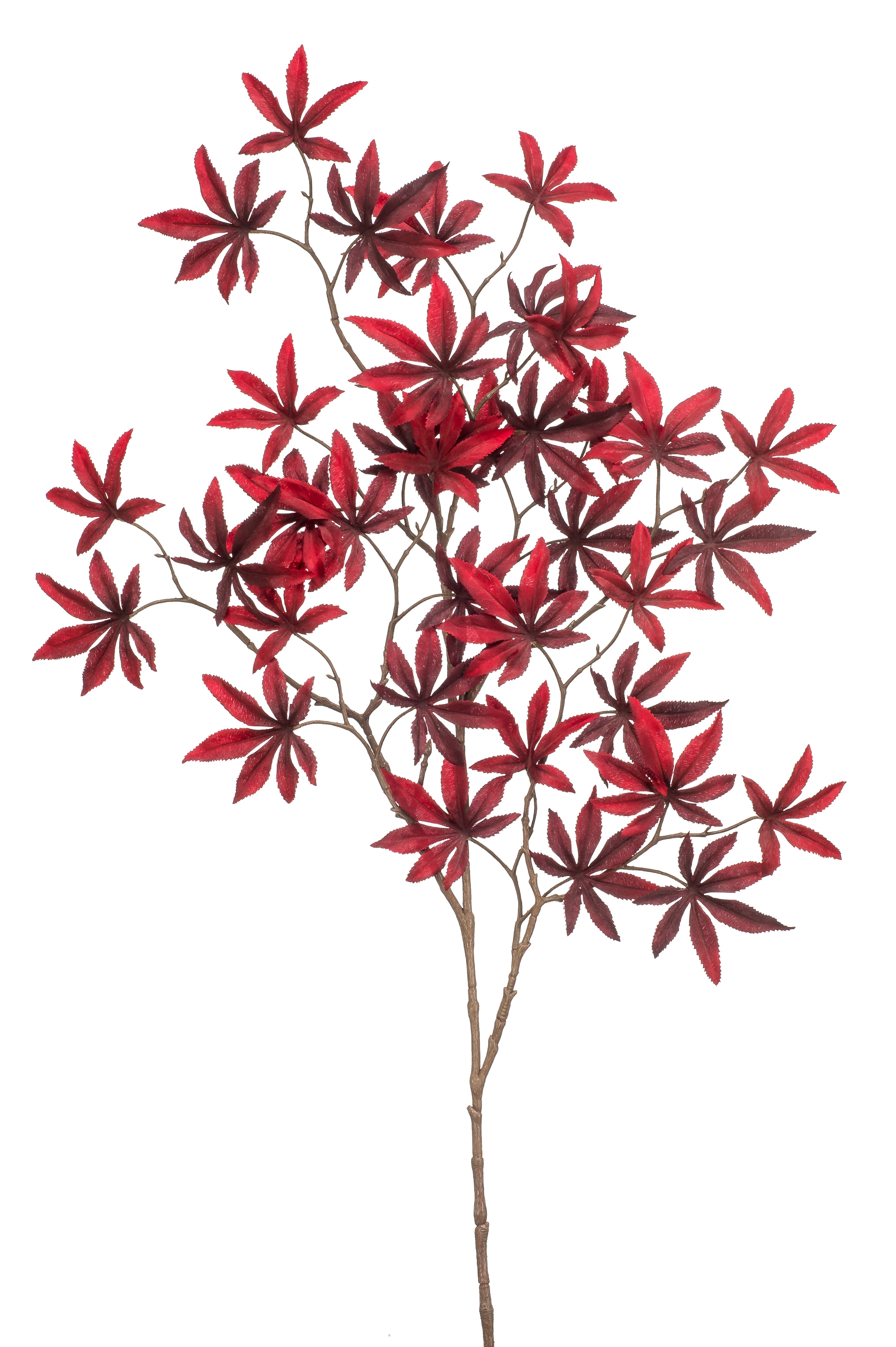 Ramo Foglie Acero Giapponese Rosso Borgogna 88 Cm