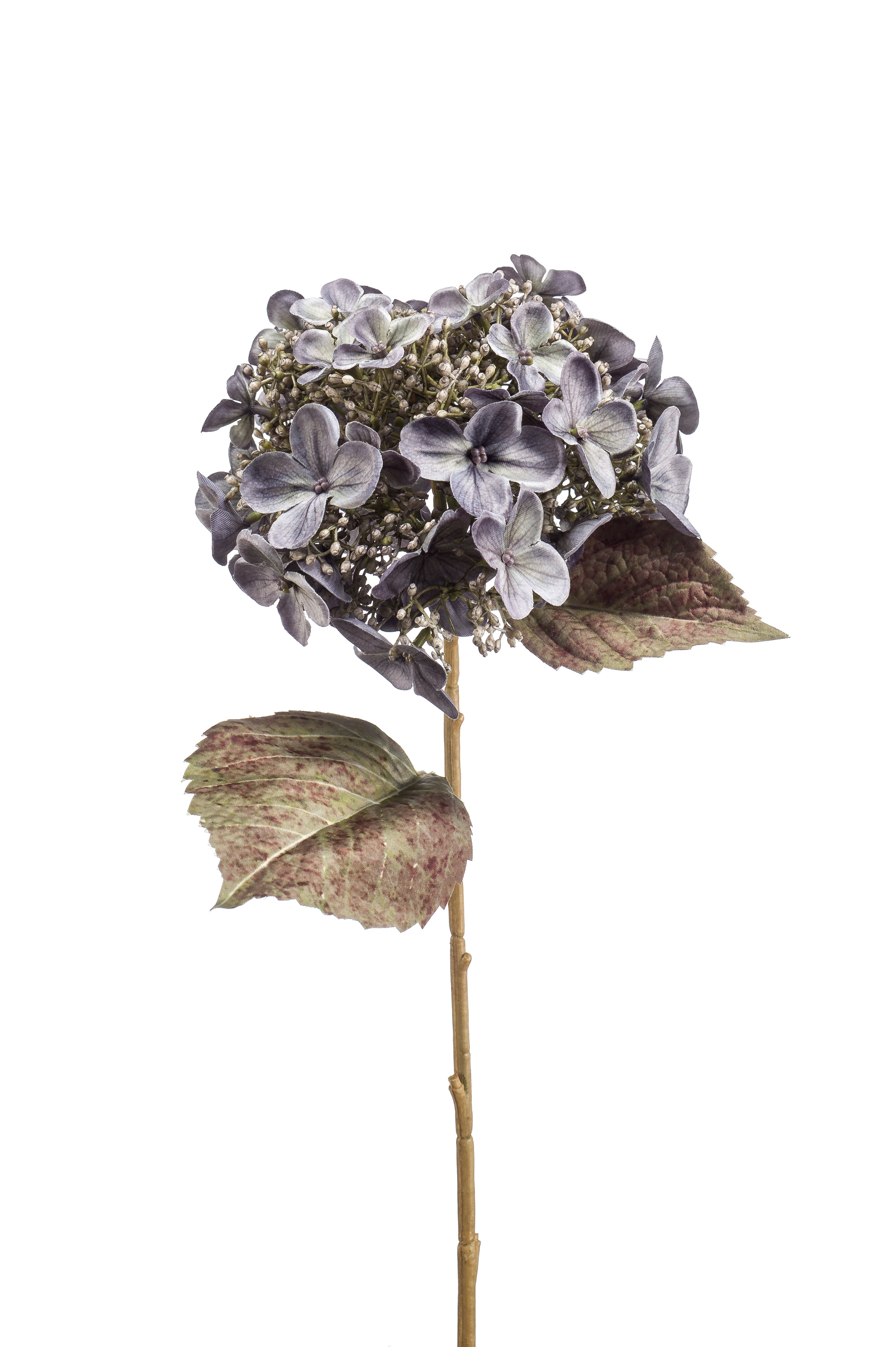 Ortensia Blu Grigia 52 Cm