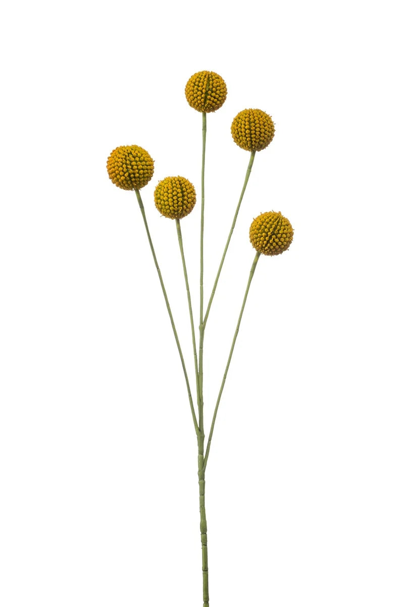 Ramo Craspedia 72 Cm Giallo
