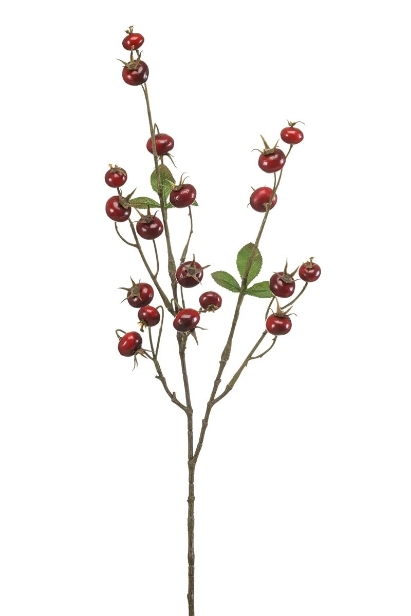 Ramo Rosa Canina 78 Cm Rosso