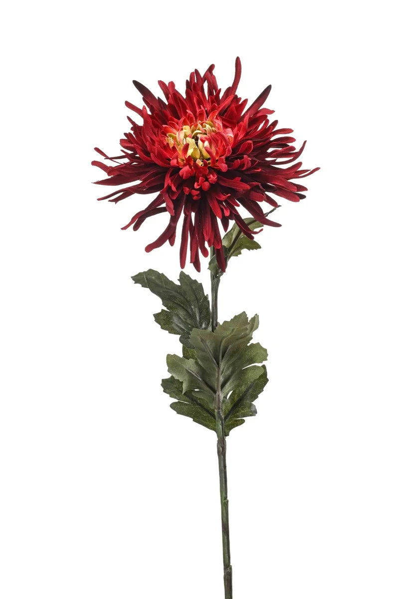 Fiore Ragno Mamma 54 Cm Rosso