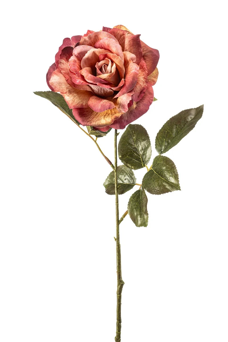 Rosa Pascali Viola 65 Cm