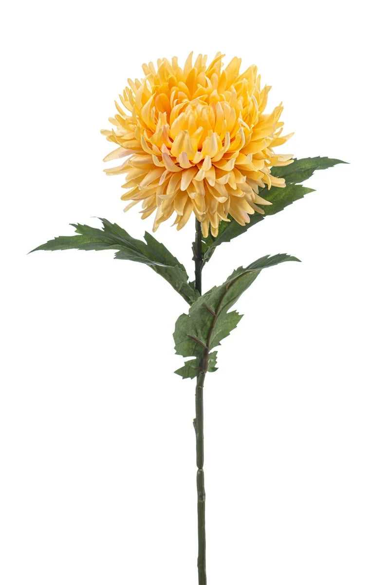 Dalia Aperta Finta 57 Cm Giallo