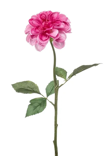 Dalia Finta 57 Cm Rosa Viola