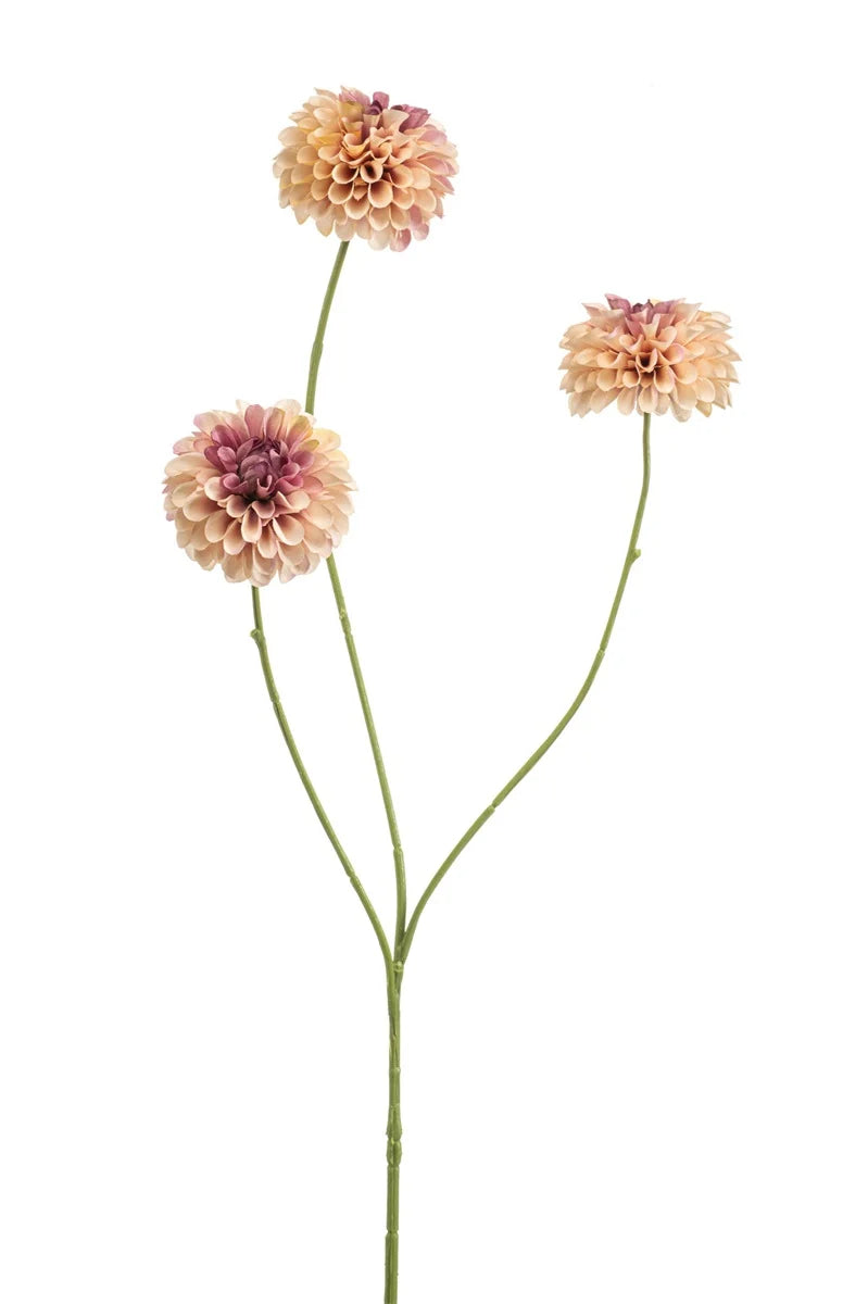 Dalia Pompom Mini Pesca Su Stelo 68 Cm