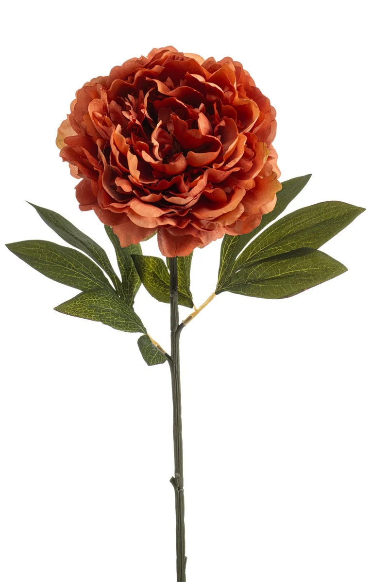Peonia Arancio Su Stelo 77 Cm