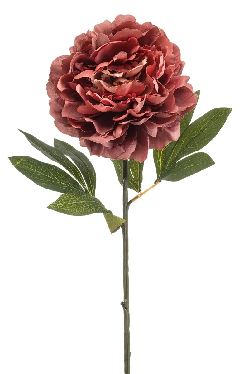 Peonia Oro Rosa Su Stelo 77 Cm