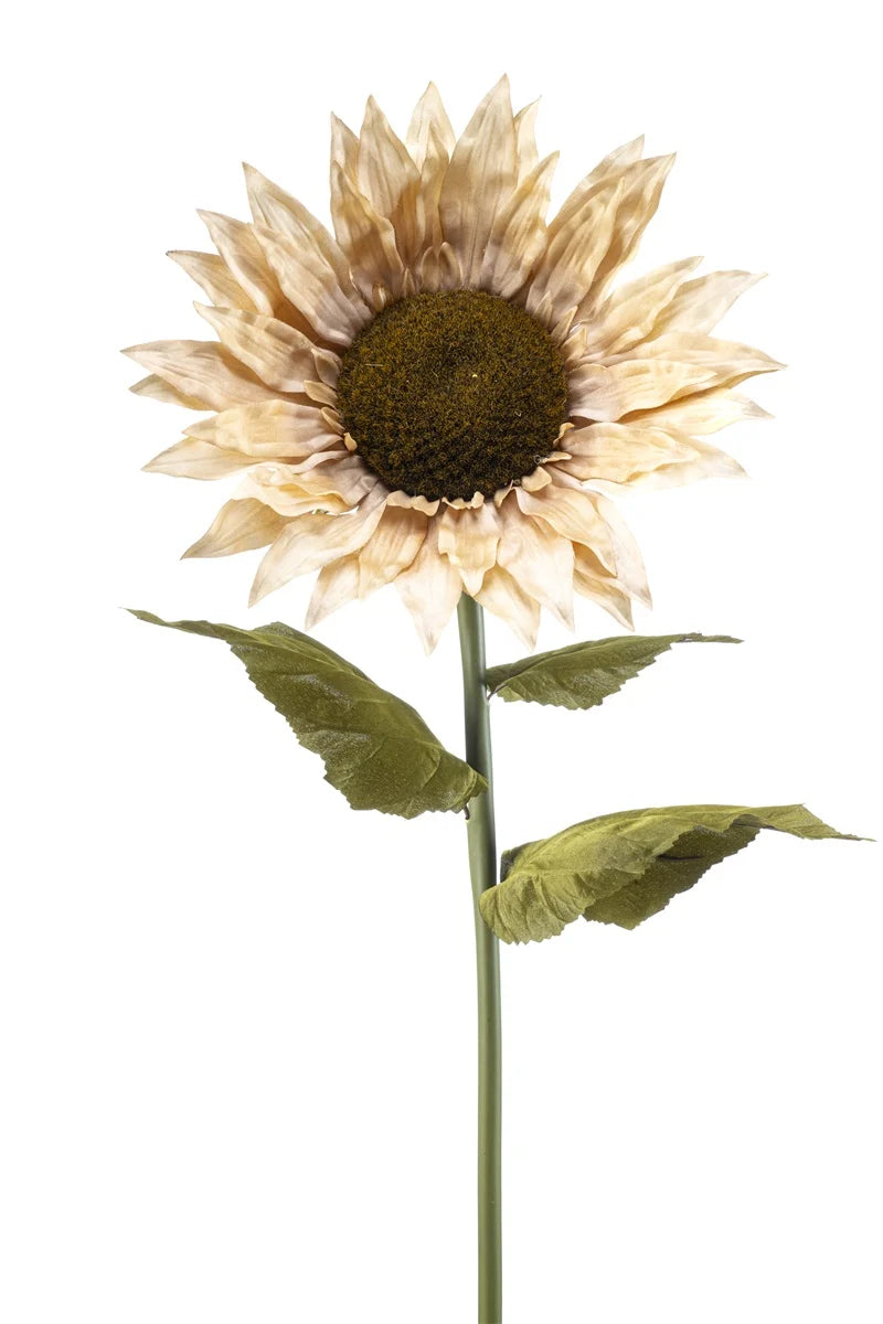 Girasole Xl Beige Su Stelo 90 Cm