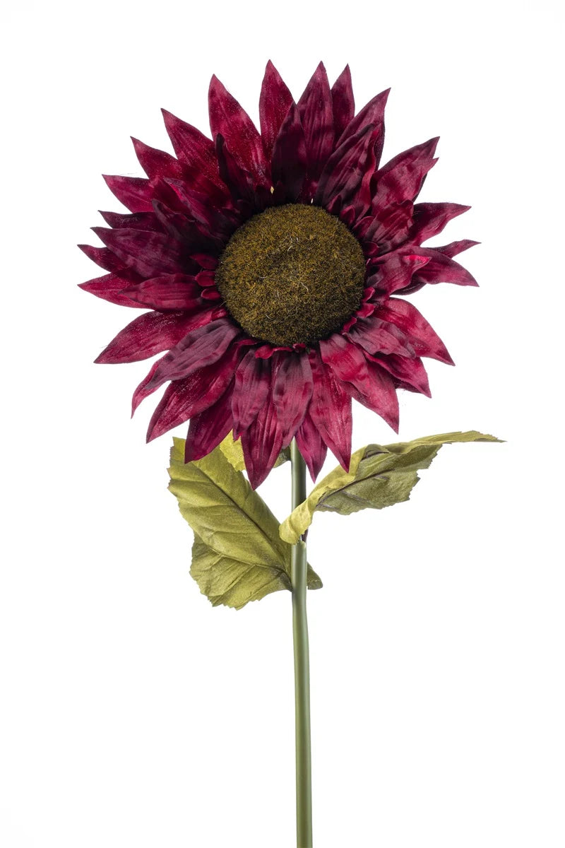 Girasole Xl Borgogna Su Stelo 90 Cm