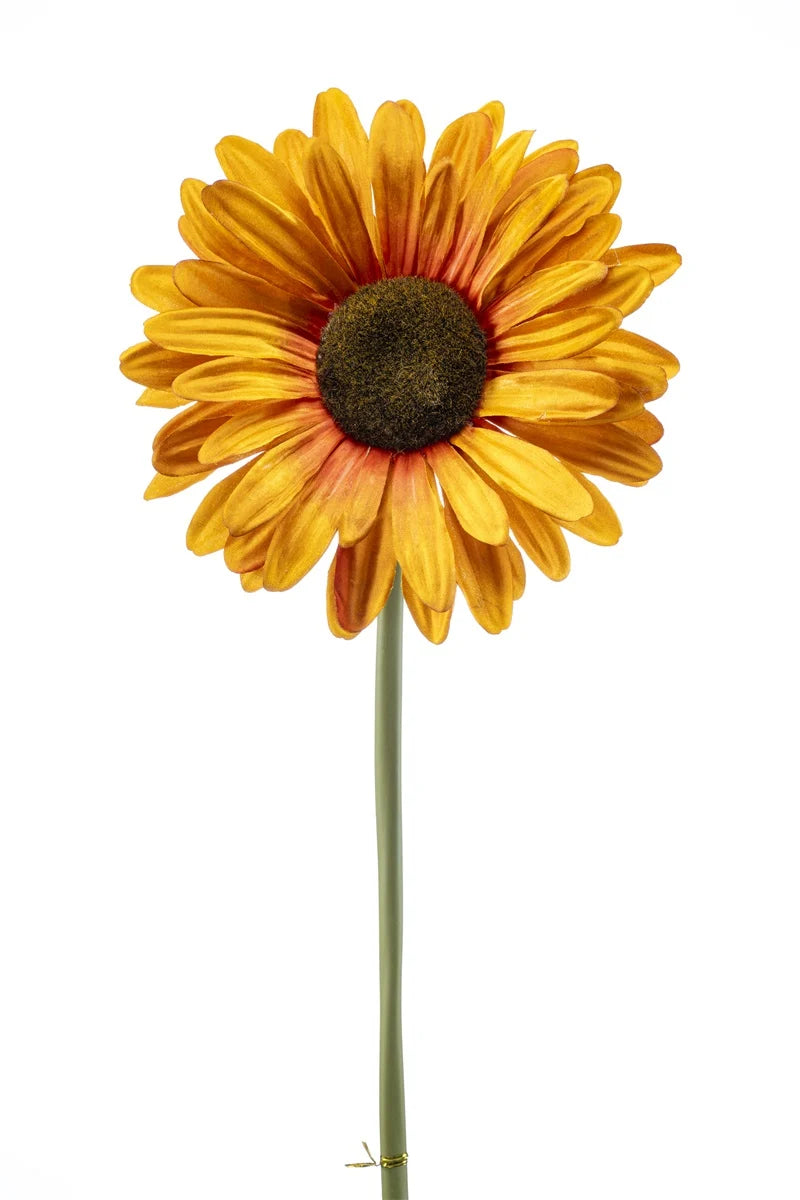 Gerbera Xl Arancio Su Stelo 90 Cm