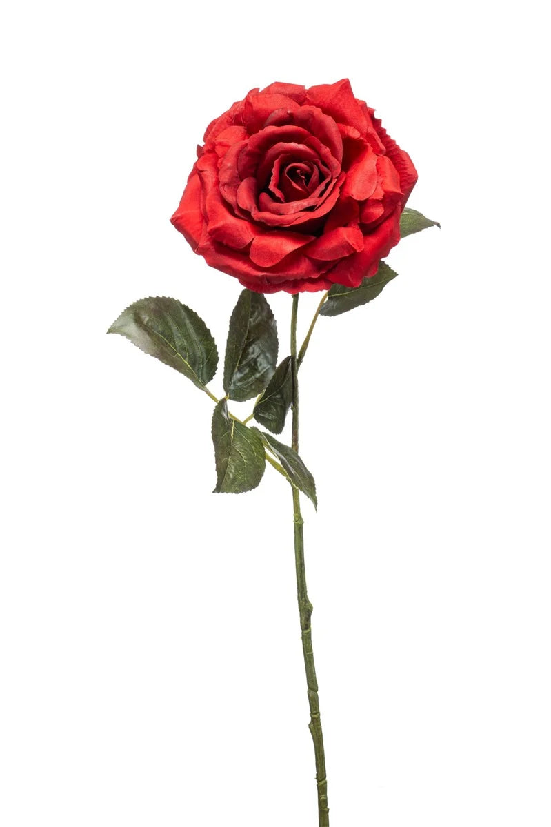 Rosa Pascali Rossa Su Stelo 65 Cm