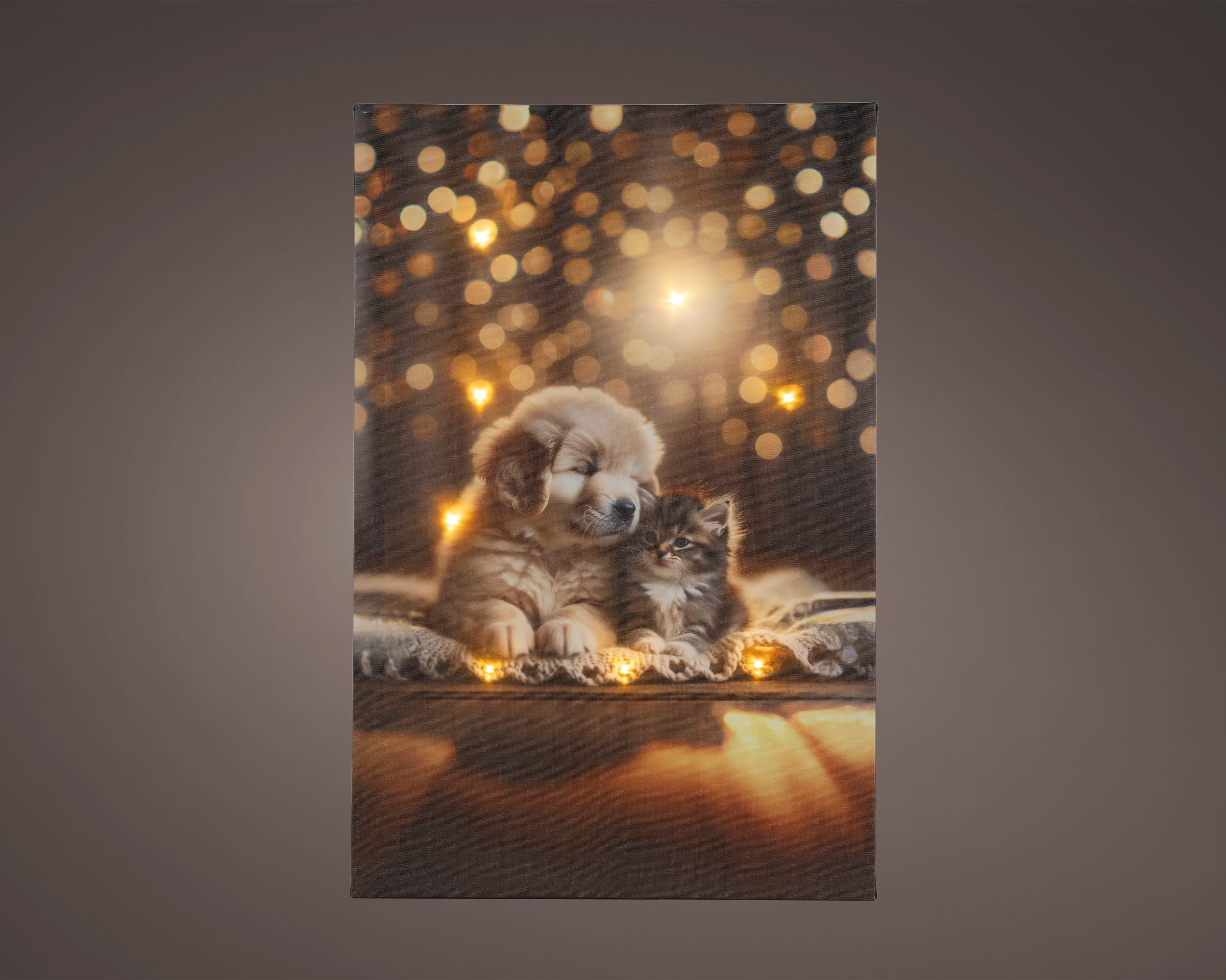 Quadro Luminoso Cane Con Gatto 38x58 Cm