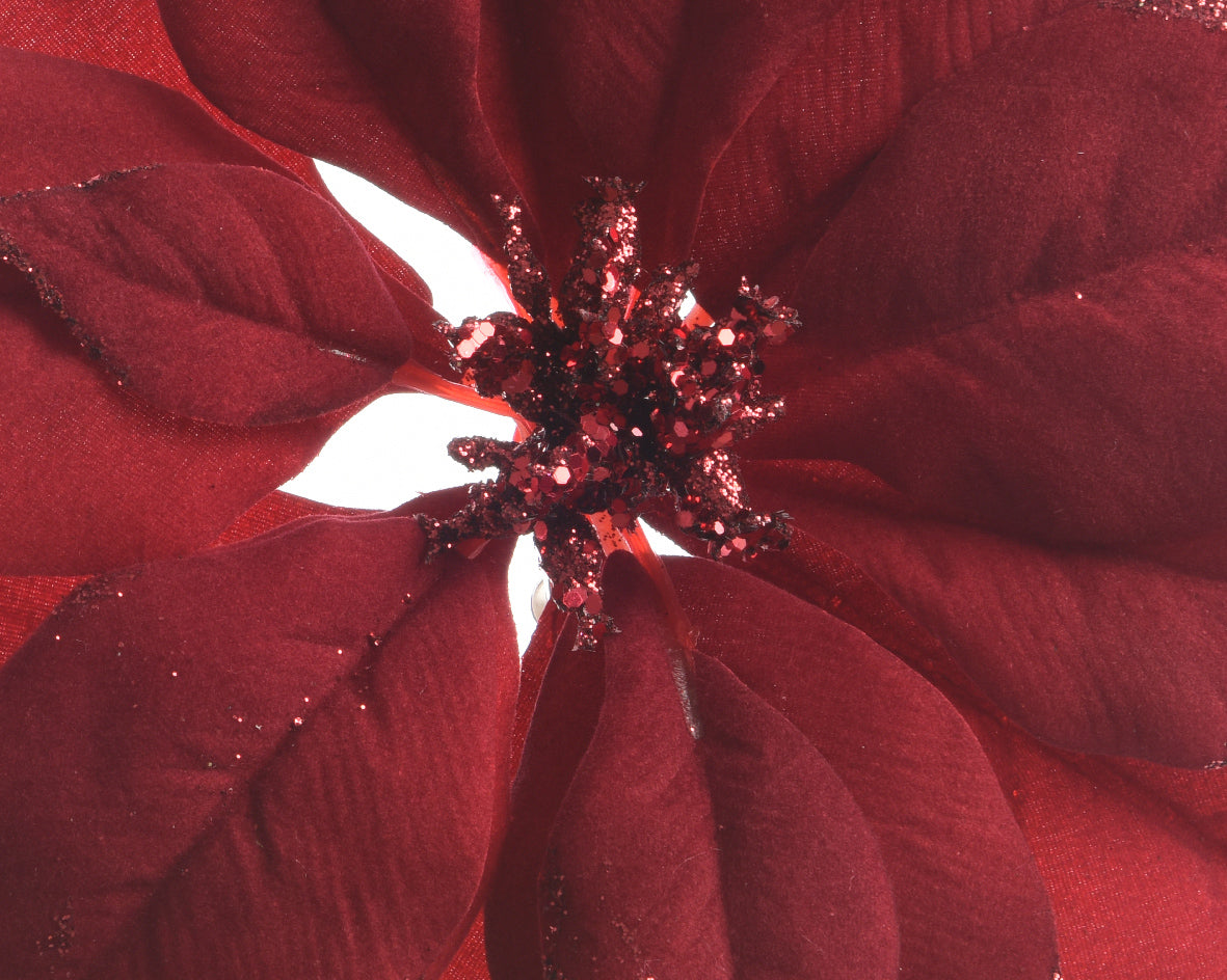 Stella Natale Borgogna Glitter D 24x6 Cm