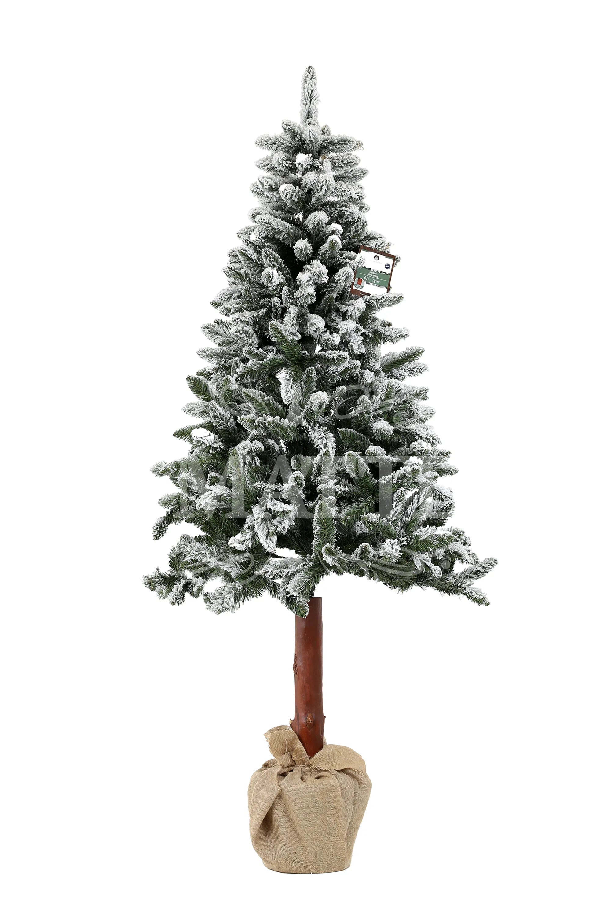 Albero Tora Pine Snowy 210 Cm