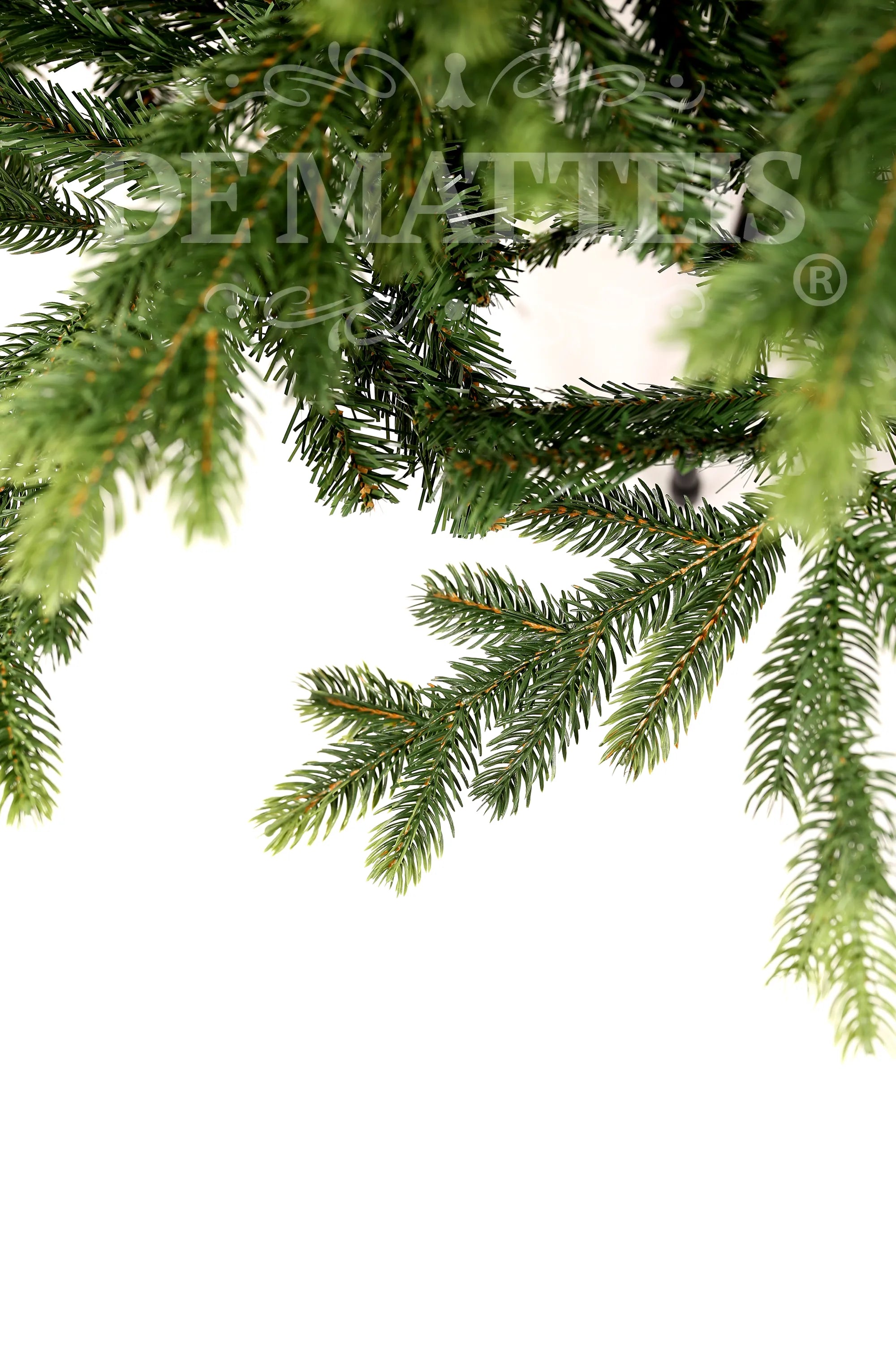 Albero Galloway Spruce 240 Cm Verde