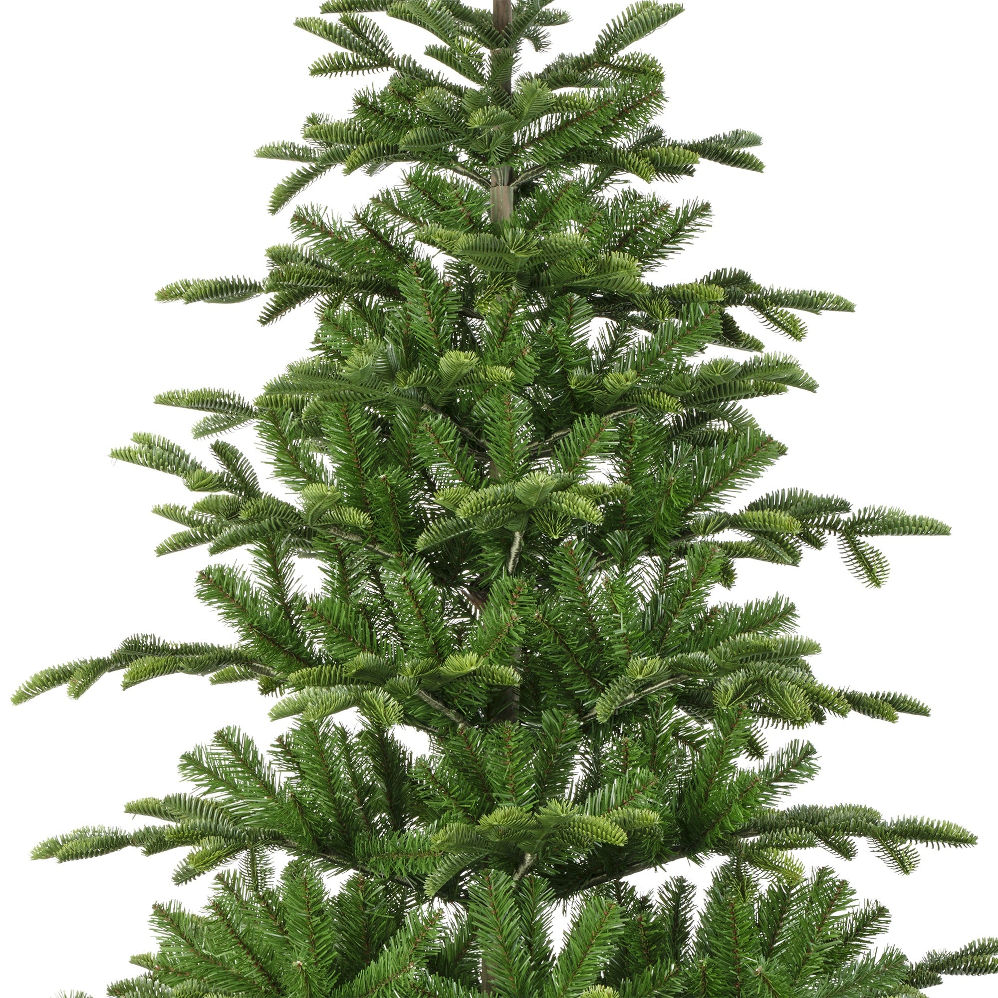 Albero Balsamea Fir Verde 240 Cm