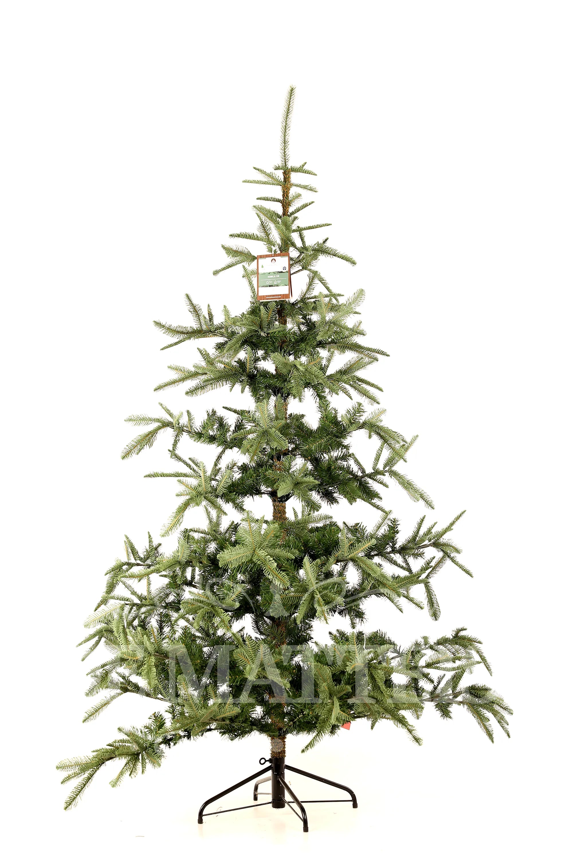 Albero Nobilis Fir 210 Cm Verde