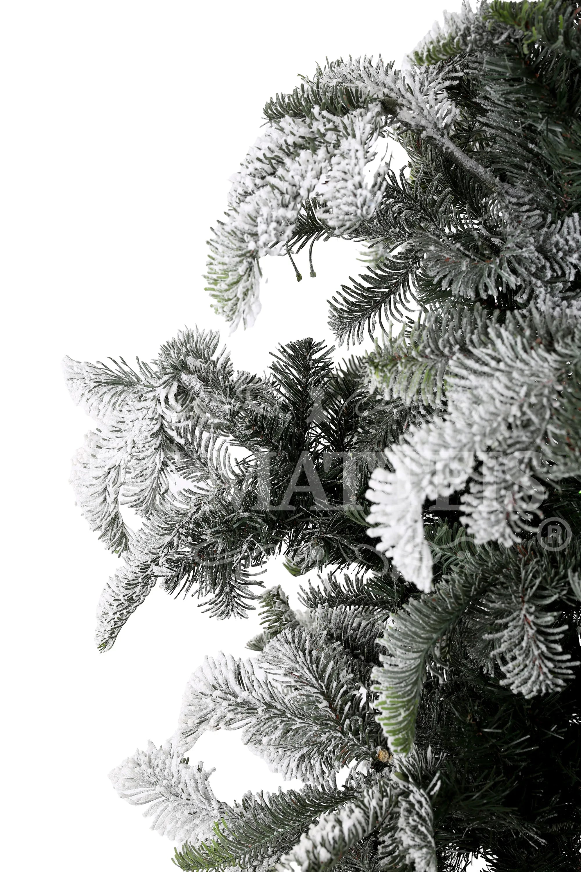 Albero Nordmann Innevato 180 cm