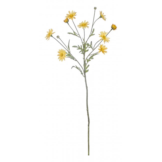 Margherita Giallo 60 Cm