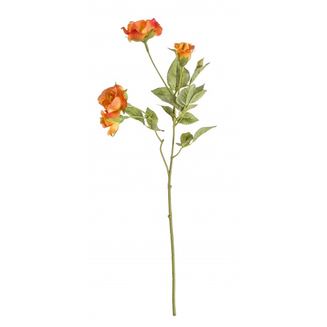 Rosa Baby 4F Arancio 39 Cm