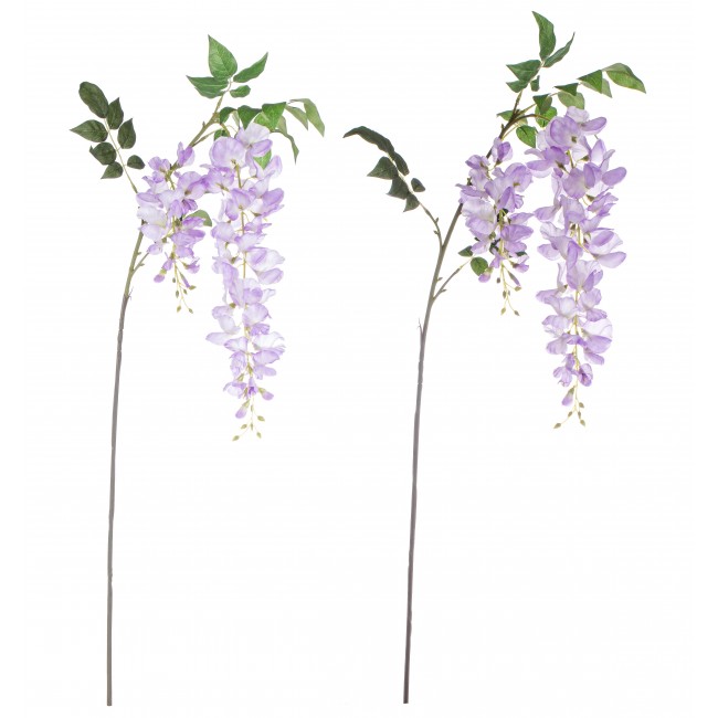 Glicine Spring Viola 95 Cm 1 Pz