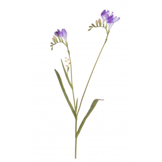 Fresia 3 Fiori Viola 62 Cm