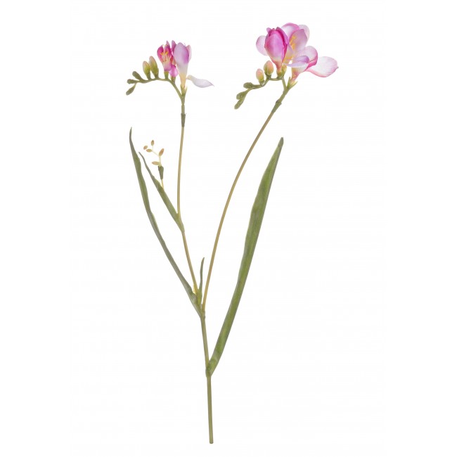 Fresia 3 Fiori Rosa 62 Cm