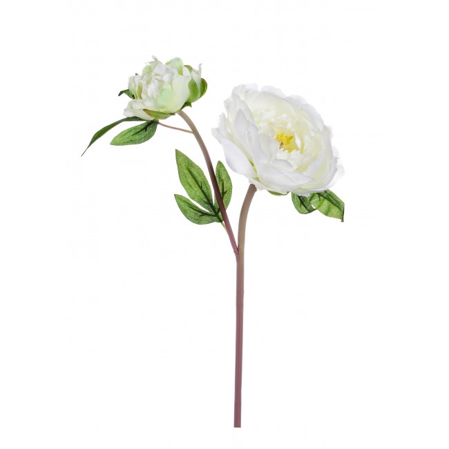 Peonia Bianco 2 Fiori 43Cm