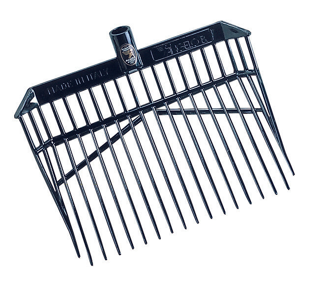 Forca Cavallo Abs Angelo B. 40X30 Cm