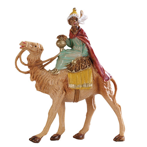 Re Magio A Cammello Moro 88 6,5 Cm