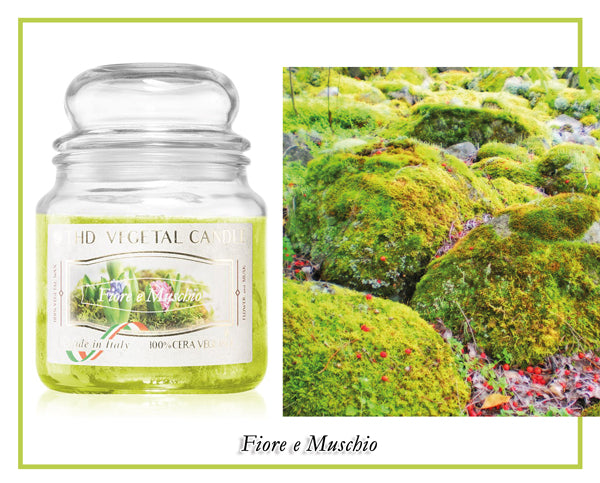 Candela Thd Fiore Muschio Medium