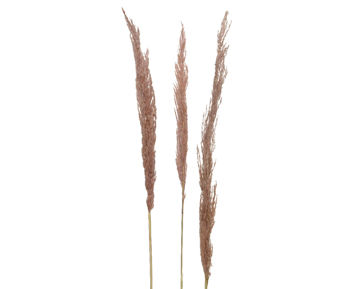 Ramo Piume Eryanthus Soft Pink per decorazioni floreali e composizioni ornamentali, altezza 170 cm - DeMatteis.it