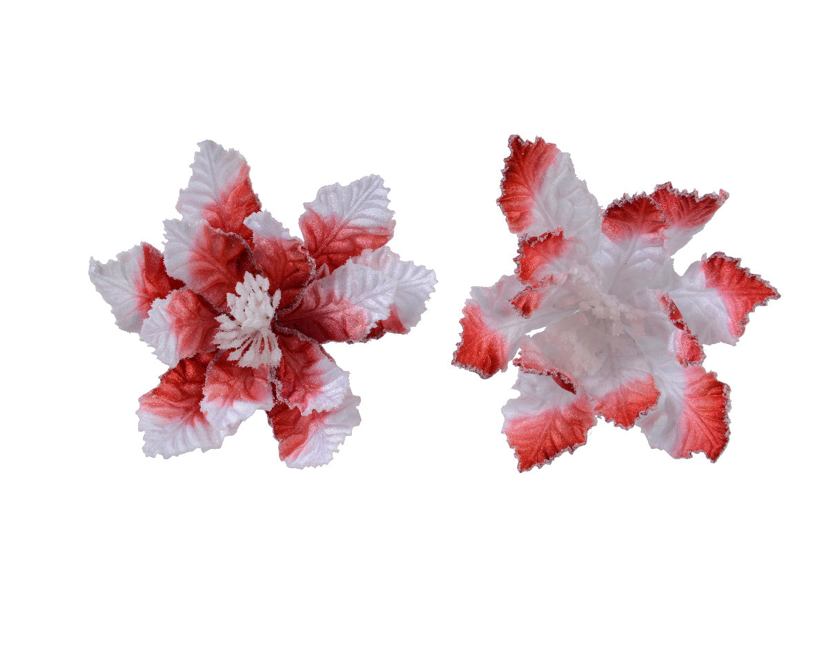 Stella Di Natale Christmas Red Bianca Con Clip D 27X10 Cm 1 Pezzo