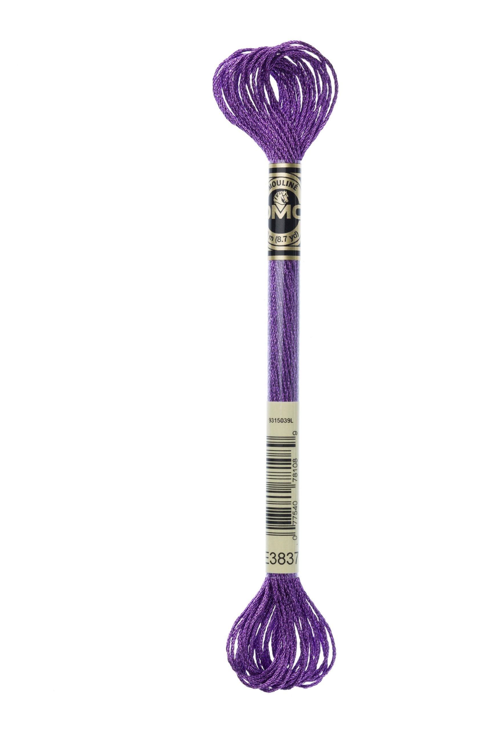 Cotone Dmc Mouline Effet Lumiere Colore E3837: Filo in cotone dalla brillante lucentezza ideale per progetti di ricamo, uncinetto e tessitura. | Dematteis.it