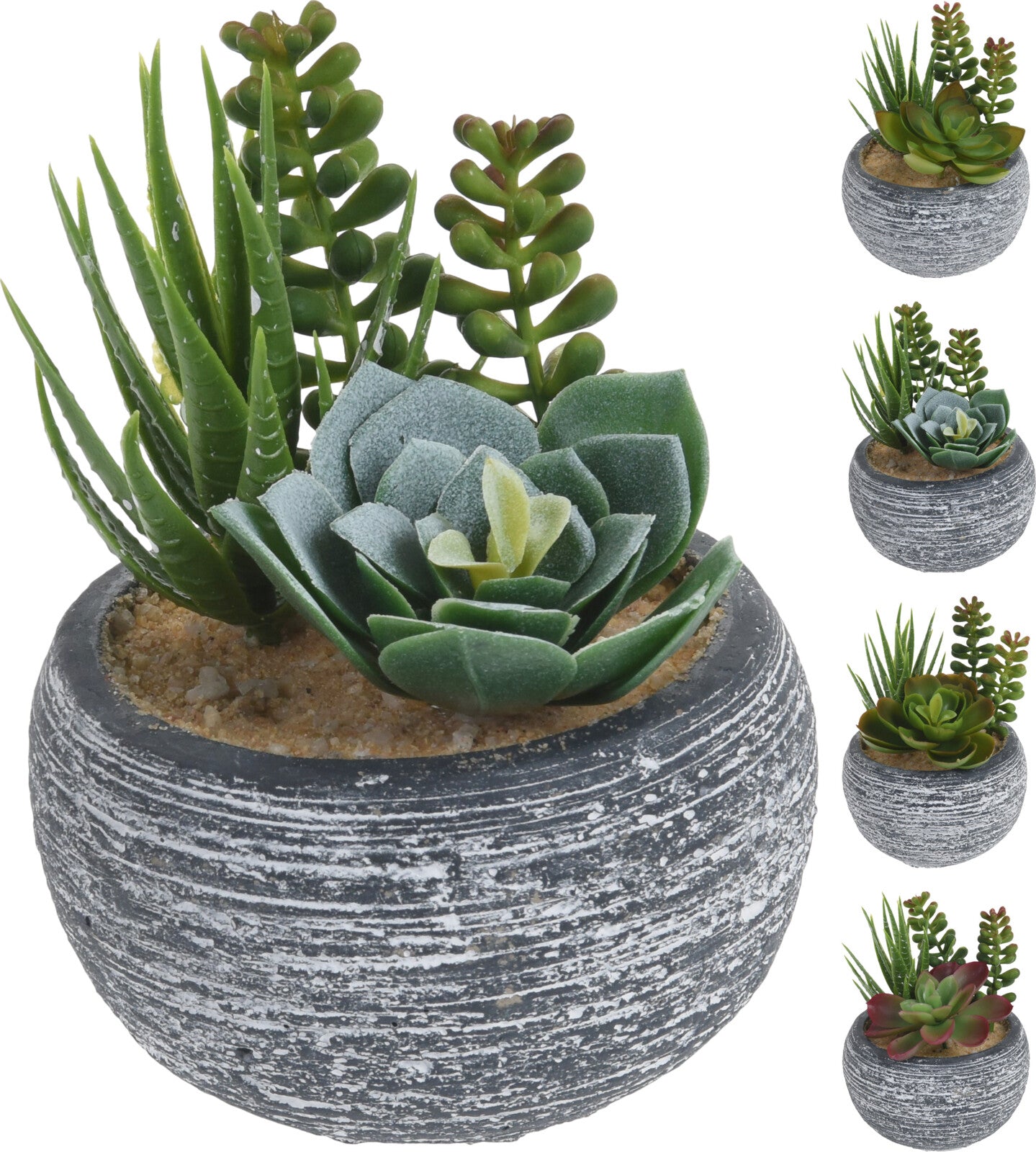 Vaso Con Pianta Grassa 11X15Cm4A