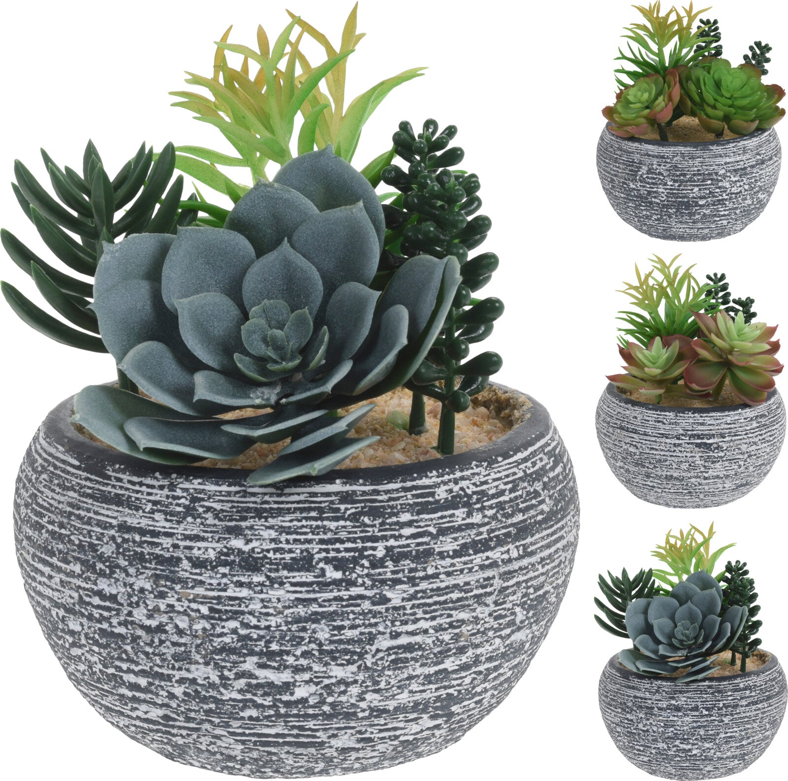 Vaso Con Piante Grasse 13X17Cm3A