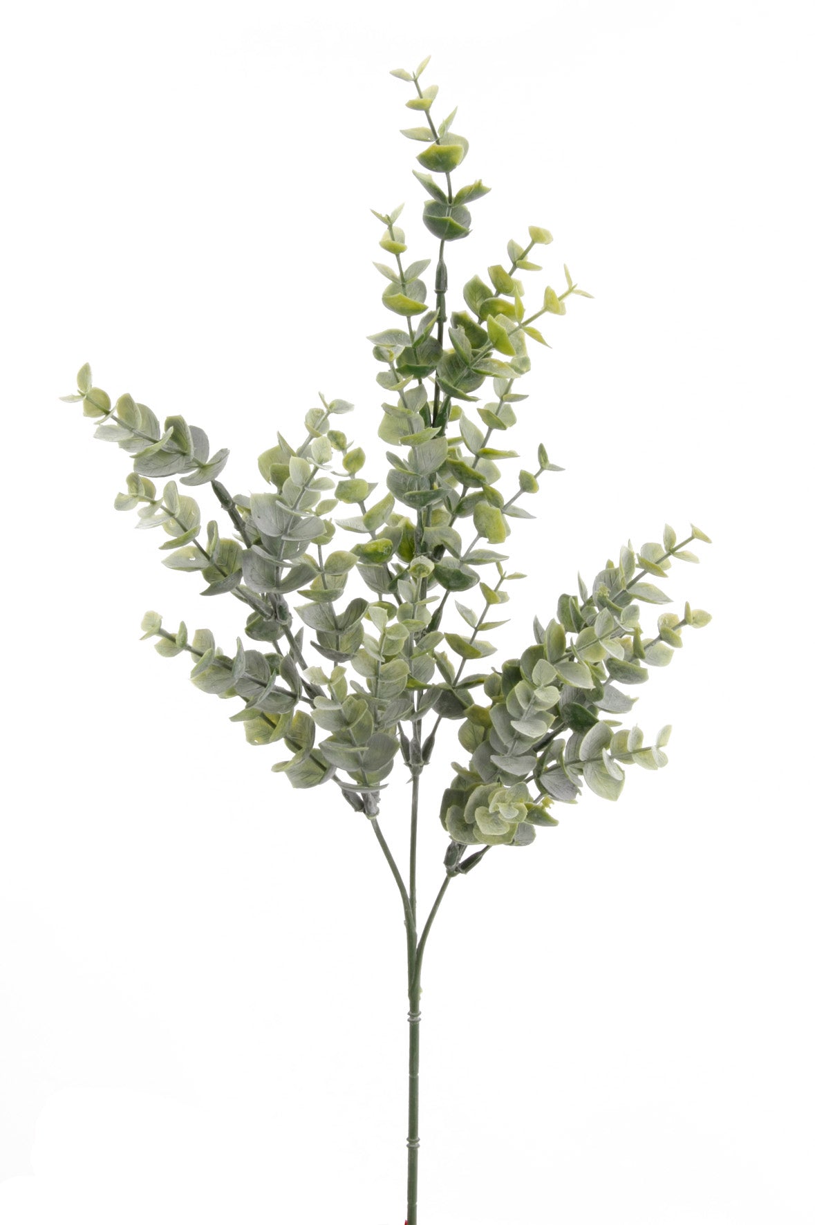 Ramo Eucalipto 68 Cm