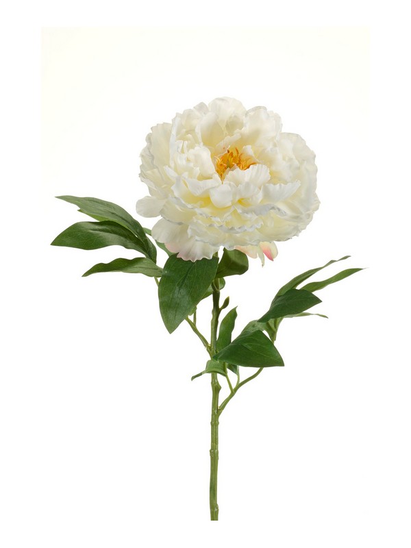 Peonia Spray Ramo 65 Cm Crema