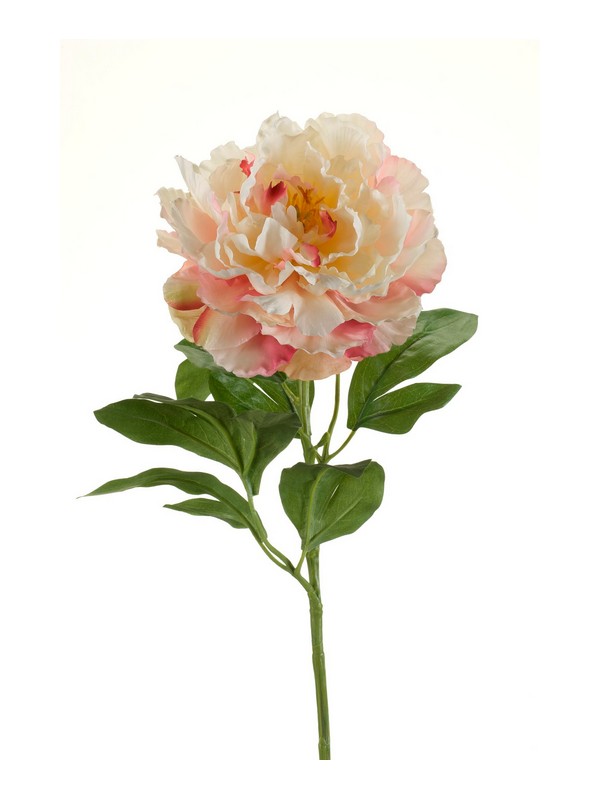 Peonia Spray Ramo 65 Cm Crema Malva