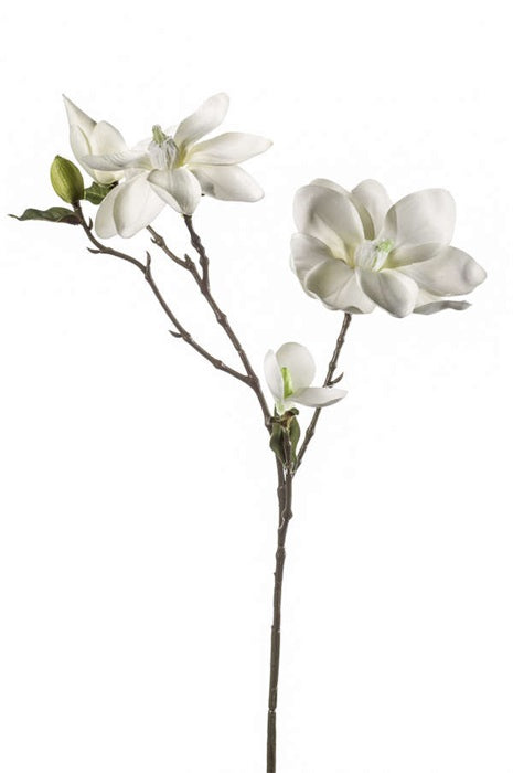 Ramo Magnolia 75 Cm Crema